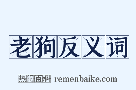 老狗反义词是什么意思的图片